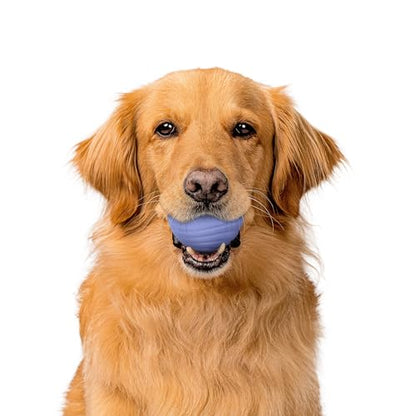 Playology Dog Toys | Dual Layer Ball Durable Chew Toy for Tough Chewers | Blueberry Scented Jumbo Dog Toy | Chew Toys for Large Dogs - size: Jumbo, style: Blueberry