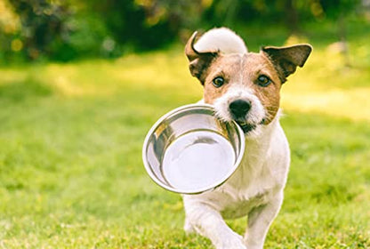 Pet Feeder Stainless Steel Dog Bowls Replacement 2-Pack Food Bowl, 8" Diameter, 2.8" Height Water Metal Bowls 7 Cups for Raised Feeder with Opening 7.5"- 8" - color: Double Pack, size: 7 cup (Standard)