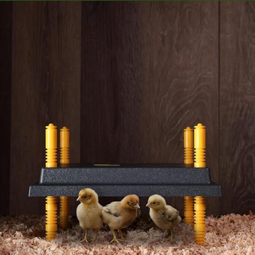 Premier 1 Chick Brooder Heating Plate with Adjustable Legs | 12" x 12" | Warms Up to 20 Chicks