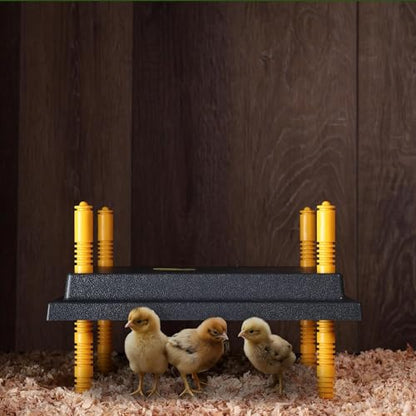 Premier 1 Chick Brooder Heating Plate with Adjustable Legs | 12" x 12" | Warms Up to 20 Chicks