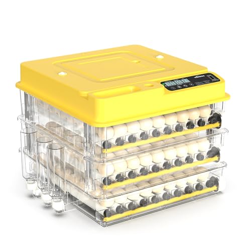216 Egg Incubator for Hatching Eggs, Fully Automatic Egg Incubator with Auto Temp/Water/Turning, for Chicken Duck Goose Quail Pigeon Turtle Eggs, Humidity Control by Bottles, 360° View Clear Window - color: 216-eggs-A