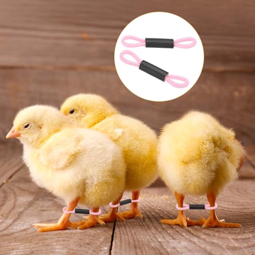M METERXITY 50-Pack Adjustable Chick Leg Bands, 1.38" x 0.2" Polyester Chicken Leg Brace for Chicks/Ducks/Birds [Light Pink] Poultry Leg Bands - color: LightPink