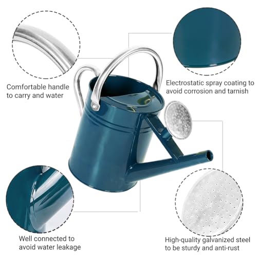 1 Gallon Metal Watering Can with Removable Spout, Nice Galvanized Steel Water Can for Indoor and Outdoor Plants (Ocean Blue) - color: Ocean Blue