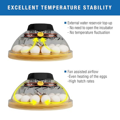 Brinsea Maxi 24 Advance Egg Incubator with Automatic Egg Turning and Temperature Control for Hatching 24 Chicken, Duck, or Other Eggs,- Optimal Flexibility with Mix & Match Sizes - size: 24 Eggs