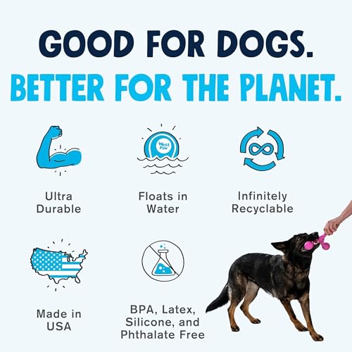 WEST PAW Zogoflex Air Skamp Tug-of-War Stick Dog Chew Toy – Hollow, Squishy Interactive Toy for Dogs, Puppies – for Chewing, Catch, Carry, Fetch, Dishwasher Safe, Latex-Free, Large 8.5", Aqua Blue - color: Aqua Blue
