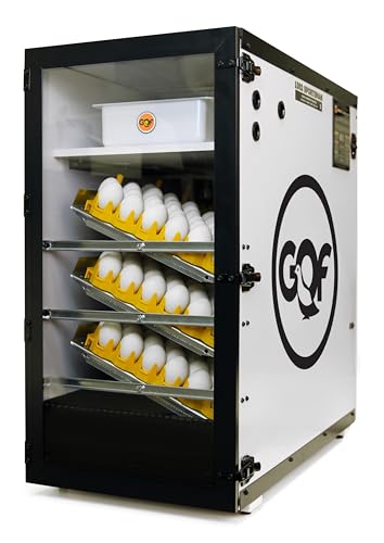 Pinnon Hatch Farms Incubator GQF 1502 Cabinet Incubator Hatcher Holds Up to 288 Chicken Eggs Includes + 6pk Hatching Egg Trays & 3030 Water Reserve System (with 6 Universal Trays)
