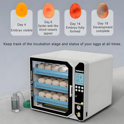 Chicken Incubators for Hatching Eggs,Automatic Humidity Incubator with Auto Egg Turner,Automatic Water Refill,Adjustable Spacing Egg Tray,3-in-1 Function:Incubation,Hatching,Brooding 2Layers - size: 2Layers