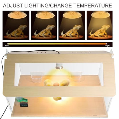 25~40 Newborns Chick Brooder Box Quail Cage Bird Playground Egg Incubator Chick Starter Kit