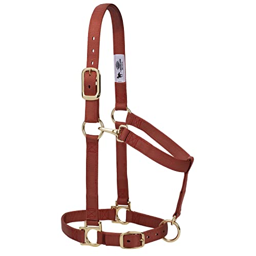 Weaver Leather Basic Adjustable Chin and Throat Snap Halter - color: Cinnamon, size: 1" Average Horse