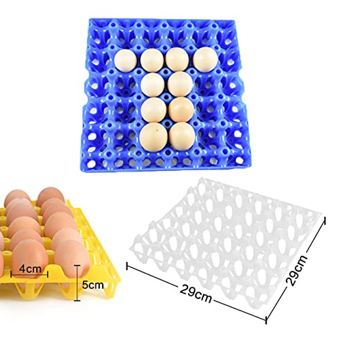 harayaa 20Pcs Egg Trays Egg Flats Transport Stackable Poultry Crate Incubator Egg Tray Chicken Egg Tray for Turkey Dove Pigeon Fridge Kitchen