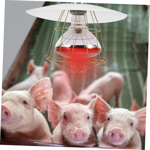 Mikikit Poultry Heat Lamp Guard Metal Reptile Lampshade for Chickens Pigs and Sheep Easy to Install Sturdy Heat Distribution Multi Environment Use Farm Accessory