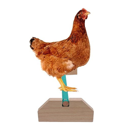 Chicken Coop Accessories Indoor Swing Wooden Chicken Perch Bird Wood Stand for Large Bird Parrot Macaw Chicks in Coop Brooder and Cage Wooden Toys Wood Toys