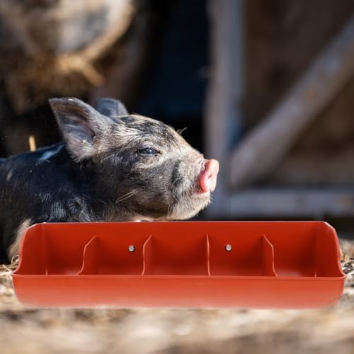 DOITOOL Plastic Fence Feeder Heavy Duty Pig Trough 5 Compartment Livestock Feeder Plastic Pig Feeers Livestock Pets Animal Feeders Farm Supplies