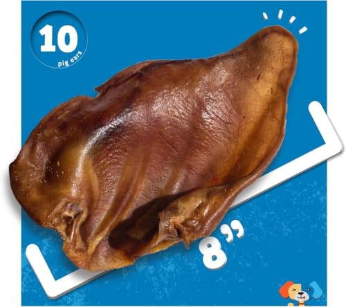 Jack&Pup Pig Ears for Dogs (10 Pack) - All Natural Single Ingredient Extra Thick Large Whole Pigs Ears - Premium Dog Pig Ear Treats - Natural Dog Pork Chews; Excellent Rawhide Alternative