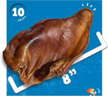 Jack&Pup Pig Ears for Dogs (10 Pack) - All Natural Single Ingredient Extra Thick Large Whole Pigs Ears - Premium Dog Pig Ear Treats - Natural Dog Pork Chews; Excellent Rawhide Alternative