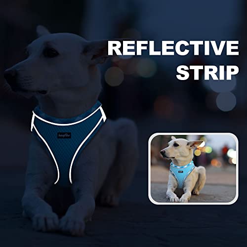 haapaw Dog Harness with Leash Set, No Pull Adjustable Reflective Step-in Puppy Harness with Thickened Padded Vest for Extra-Small/Small Medium Dogs - color: Turquoise, size: S