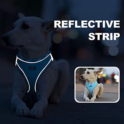 haapaw Dog Harness with Leash Set, No Pull Adjustable Reflective Step-in Puppy Harness with Thickened Padded Vest for Extra-Small/Small Medium Dogs - color: Turquoise, size: S