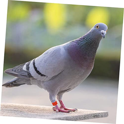 FOMIYES 900pcs Mixed Color Poultry Foot for Birds Chickens and Pigeons Lightweight Leg Bands for Easy Identification and Management