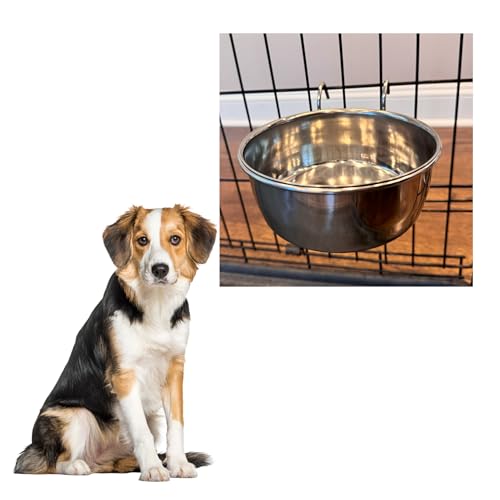 SPOT Coop Cup Wire Hanger - Stainless Steel Hanging Bowl for Pet Crates, Easy Install, Chew-Proof, Removable Water/Kibble Bowl for Medium Dogs, Cats, Large Birds, Reptiles - 3.75 Cups (30 Oz) - color: Stainless Steel, size: 30 Oz
