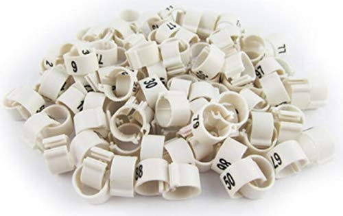 100pcs/lot Color Numbered Birds Duck Chicken Leg Bands 12mm Chicken Rings - color: white
