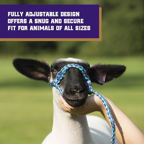 Weaver Livestock Braided Poly Rope Halter, 4 ft Modern, Adjustable, Soft Braid Sheep Halter, Livestock Equipment for Sheep, Goats - color: Mint/Black/Gray