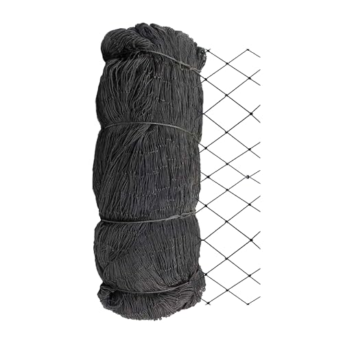 Stromberg's 1" Knotted Netting, Game Bird Netting for Pheasants & Quails, Heavy Duty, Chicken Coops, Gardening, UV-Resistant, 85 lb. Break Strength, 25'x25' - style: 1" Netting - 25' x 25'