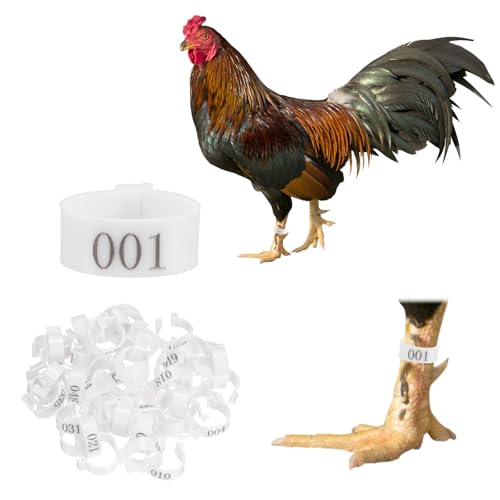 M METERXITY 50-Pack Chicken Leg Bands, 20 mm Plastic Poultry Identification Chicken Leg Rings for Turkey/Duck/Goose/Chicks, Colorful Numbered Foot Clip on Tags [White] - color: White, size: 20 mm