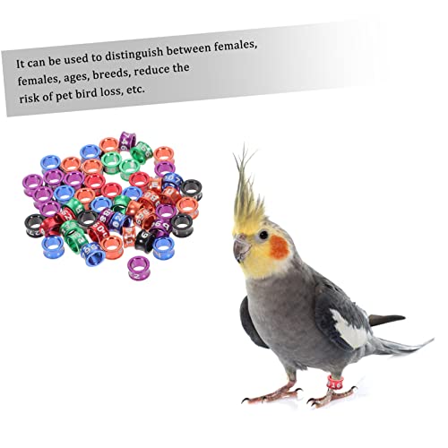 BESPORTBLE 50Pcs Closed Bird Leg Rings Numbered Parrot Pigeon Foot Bands Sturdy Alloy Identification Rings for Small Birds for Breeding and Identification
