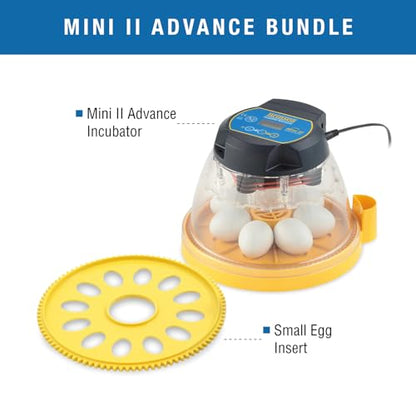 Brinsea Mini II Advance & Insert, Egg Incubator with Automatic Egg Turning and Temperature Control for Hatching 7 Eggs or up to 12 with Insert, Ideal Incubator for Hobbyists and More - size: 7 Eggs with extra insert