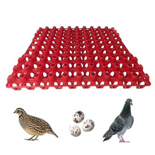 Hen's Choice 90 Egg Plastic Trays for Quail, Pigeon, Dove, Birds. Incubator Flat Carton (Red, 6 Pack) - color: Red, size: 6 Pack