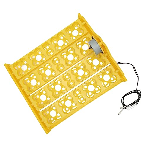 Egg Incubator Tray, Multifunction Automatic Egg Turner Incubator Tray Eggs Automatic Egg Turner Turning Tray for 16 Duck Eggs 16 Eggs 72 Quail Eggs Incubation (DC12V) - size: DC12V