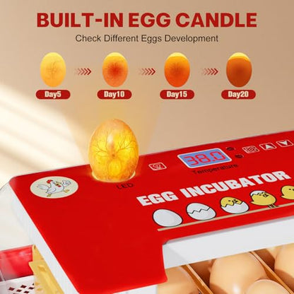 Incubators for Hatching Eggs 15-35 Eggs Incubator with Automatic Egg Turning and ℉Temperature Display LED Candler Poultry Incubator for Hatching Chicken Duck and Quail Incubator（Red）