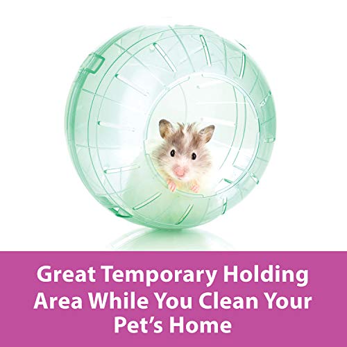 Kaytee 13" Clear Run-About Exercise Ball For Pet Rats & Chinchillas - color: Clear, size: 13"