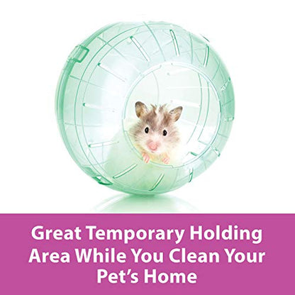 Kaytee 13" Clear Run-About Exercise Ball For Pet Rats & Chinchillas - color: Clear, size: 13"
