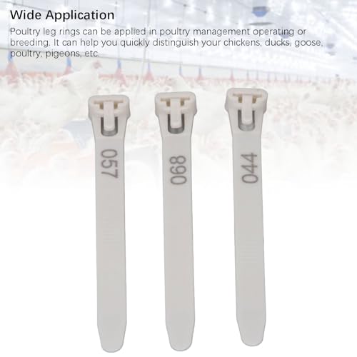 Tissting 1-100 Numbered Poultry Leg Bands, Reusable Chicken ID Rings for Ducks Chicks Geese Pigeons Easy Identification Tracking Management (White) - color: White