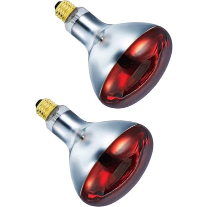 250 Watts R40 Red Heat Lamps Outdoor Bulbs for Pets Flood Light Bulb for Chickens Infrared Reflector 250W R40 Incandescent Medium E26 Base 6 Pack - style: 250W/R40/RED/2PK/S