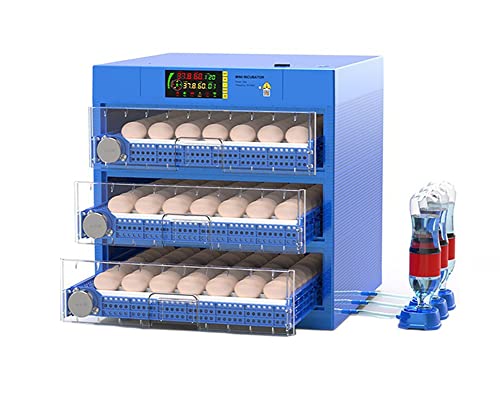 Egg Incubator for Hatching Chicks - Automatic Egg Turner with Temperature and Humidity Control for all sorts duck eggs, goose eggs, turkey eggs (176 Eggs, B1) - color: 176 Eggs