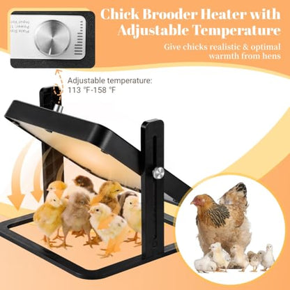 Chick Heater, Brooder Heating Plate with Adjustable Temperature, Chick Warmer Coop Heater, Brooder Plate for Chickens, Ducklings, Cats and Dogs, Heater for Brooding and Growing Pets