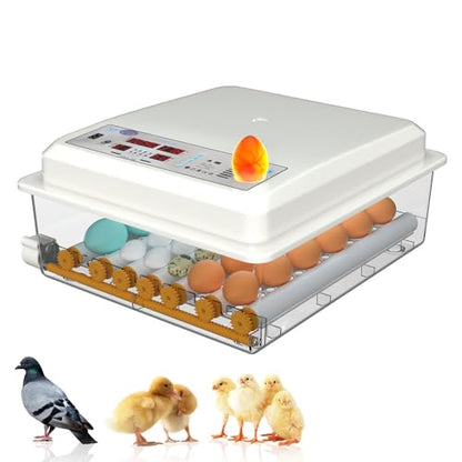 Egg Incubators for Hatching Eggs, Chicken Incubator for Eggs with Automatic Egg Turning and Humidity Control, for Hatching Chickens, Quails, Ducks, Geese，Parrots