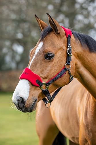 LeMieux Vogue Fleece Headcollar - Halter & Leadrope - Extra Padding, Adjustable at Curb and Poll Strap - color: Chilli, size: full