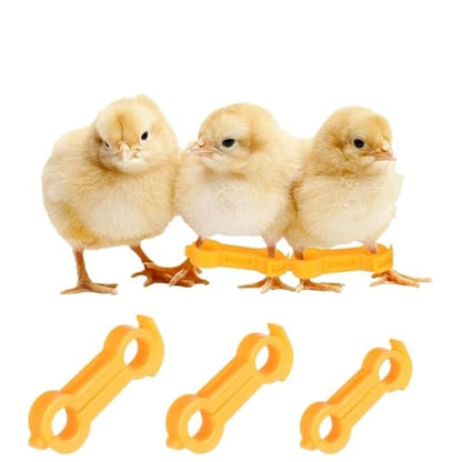 Chicken Leg Bands 60 Pcs Baby Chick Splay Leg Hobbles Poultry Bands- Chicken Hobble Braces for Chicks