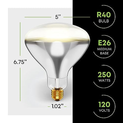 KOR 250 Watt R40 Clear Heat Lamp Light Bulb, Incandescent Reflector, Head Lamp, Heat Flood Lamp Light Bulb, E26 Standard Medium Screw Base, 120V, 2,000 Hour Rated, 2 Pack - color: Clear