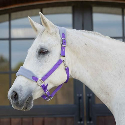 Equinavia Saga Fleece Padded Breakaway Halter - Deep Lavender/Slate Grey - Pony - color: Deep Lavender/Slate Grey, size: Pony
