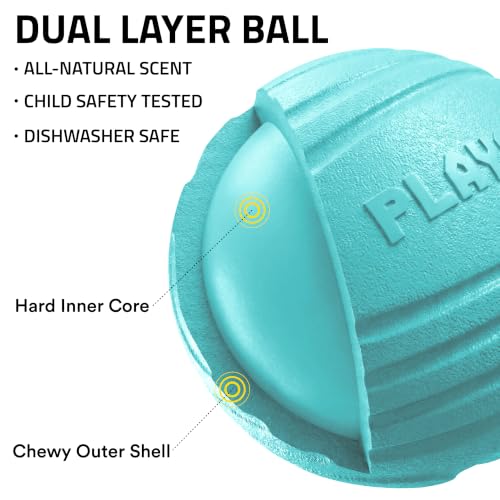 Playology Dog Toys | Dual Layer Ball Durable Chew Toy for Tough Chewers | Peanut Butter Scented Jumbo Dog Toy | Chew Toys for Large Dogs - size: Jumbo, style: Peanut Butter