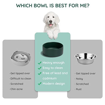 SPUNKYJUNKY 13.5OZ Ceramic Dog and Cat Bowl, Modern Cute Weighted Food Water Bowl for Replacement Green (1 Pack) - color: Green, size: 1.7 CUPS