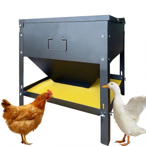80 lb Automatic Chicken Feeder, Adjustable Height Poultry Set | Metal build, Latch closure, Carry handle, Grain storage, Ducks, Turkeys, Backyard coop, Farm use