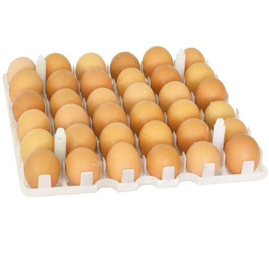 Hatching Time Egg Setter Tray (36 Chicken Eggs), Good Fit, Durable, Washable, Easy to Clean, ABS Plastic - style: 36 Egg Setter Tray - Chicken