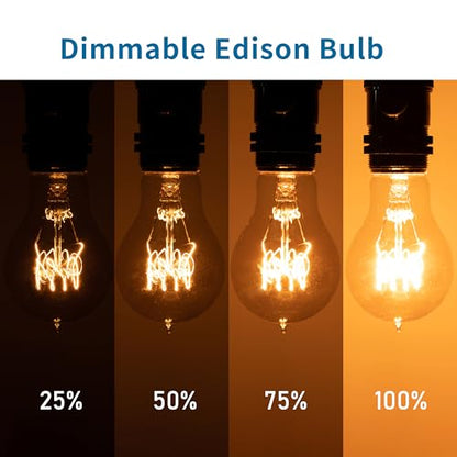 Warm Incandescent Light Bulbs 60 Watt,A19/A60 Vintage Style Edison Bulbs E26,Soft Yellow Light Bulbs,Amber Bulbs,Retro Light Bulb Old Fashioned,Halogen Dimmable Edison Bulb Squirrel Cage - size: 6 Count (Pack of 1)