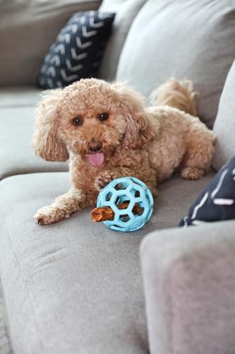 JW Pet HOL-ee Roller™, Dog Toy Puzzle Ball, Natural Rubber, Medium (4.5” Inch Diameter), Blue - color: Blue, size: 4.5 Inch