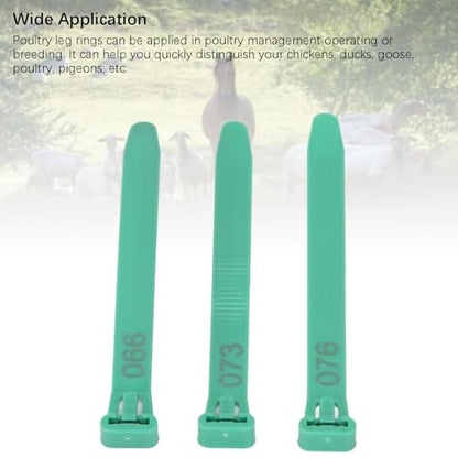 Tissting 1-100 Numbered Poultry Leg Bands, Reusable Chicken ID Rings for Ducks Chicks Geese Pigeons Easy Identification Tracking Management (Green) - color: Green